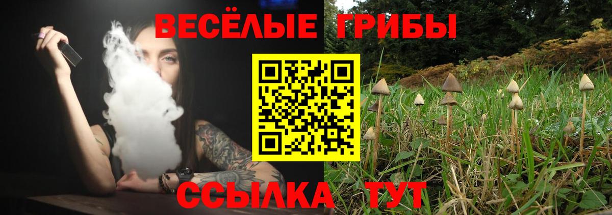 Галлюциногенные грибы Psilocybine cubensis Семилуки